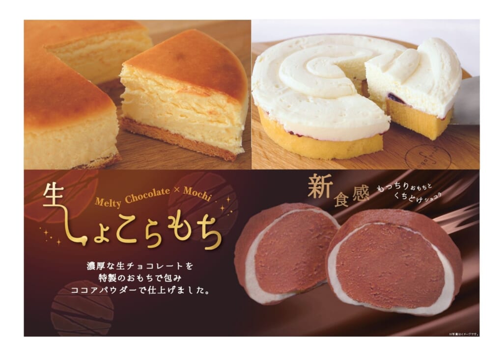 花園フォレスト 天使のチーズケーキ 生しょこらもちセット ちょこたび埼玉 オンラインストア